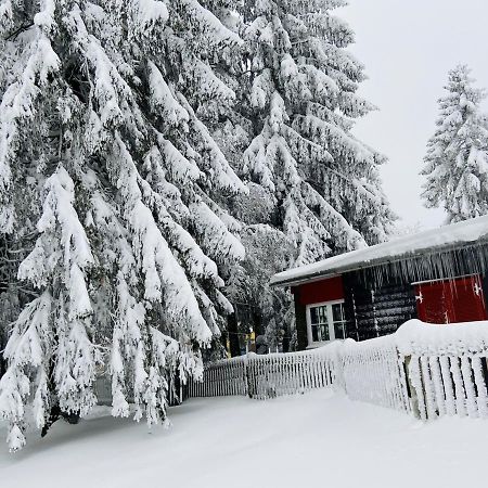 Baude Steinheid Am Rennsteig Mit 12 Betten Kültér fotó